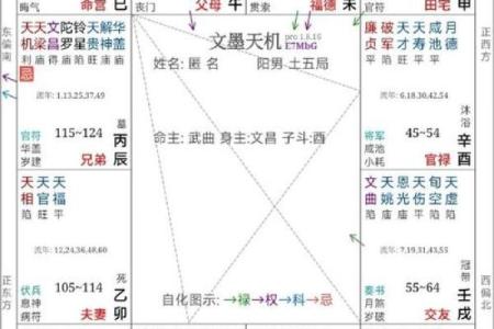 美貌男紫薇斗数