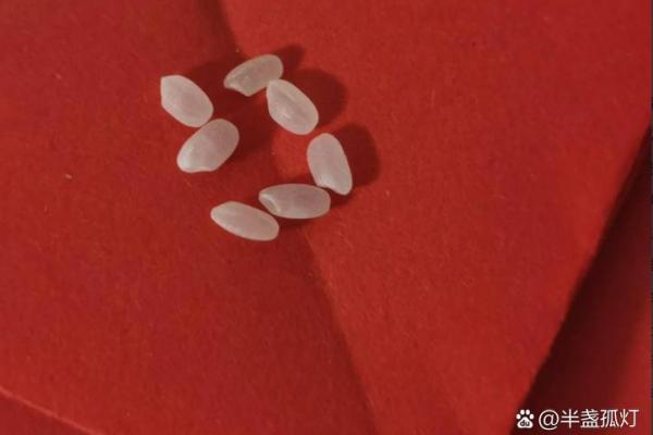 风水七粒米招财最灵的方法是什么意思