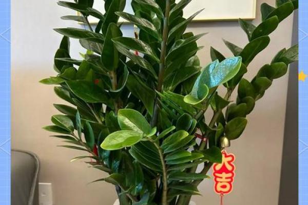四大镇宅之树是哪四款风水树