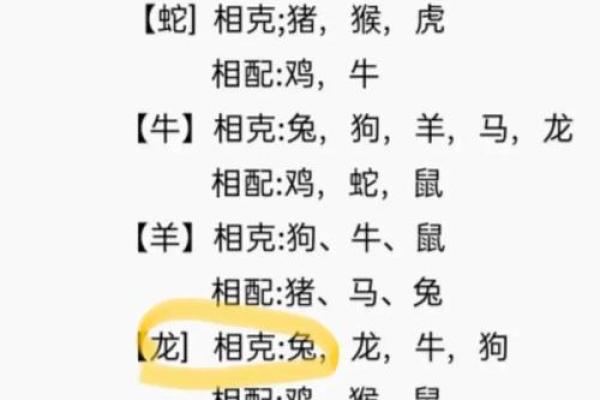 属兔男和什么属相最配对