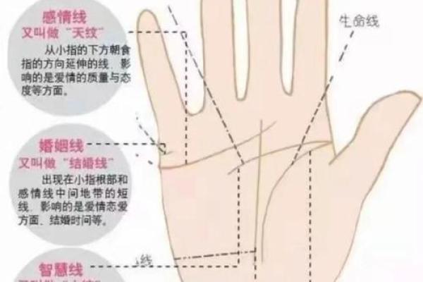 风水生命线短的人寿命短吗有什么说法