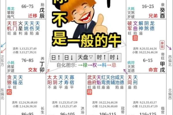 紫薇斗数命理八字占卜