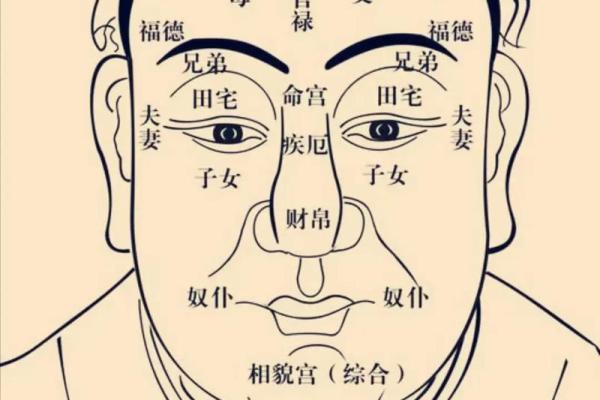 紫微斗数算命