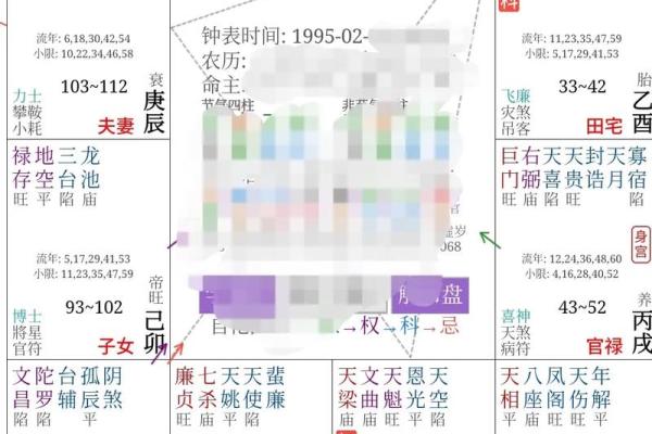 台湾紫微斗数小限派 紫微斗数小限排盘？