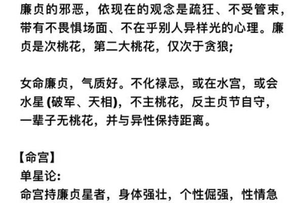 廉贞星坐守官禄宫紫微斗数大成
