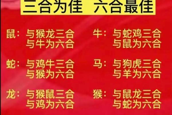 十二生肖配对歌看看你和TA的缘分有多好