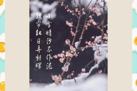 小雪节日文案 小雪节日的诗句