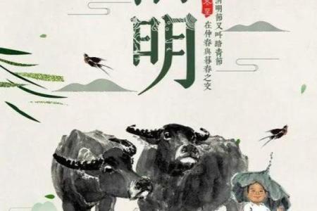 观音灵签清明正好暮春天