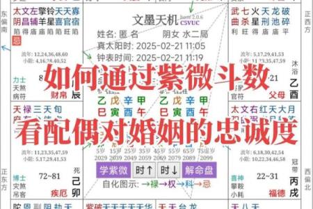 怎么在紫薇斗数里看未来老公样貌