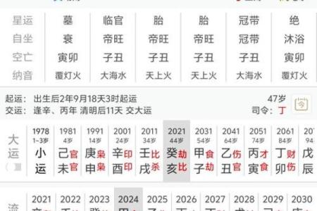 2024年农历十月二十出生的宝宝生辰八字命理解析