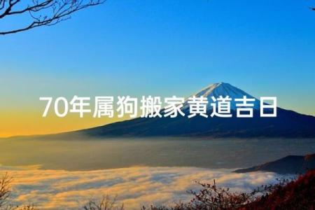 属狗是哪一年出生的 属狗的男孩出生吉日