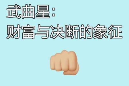 紫薇斗数财富不劳而获