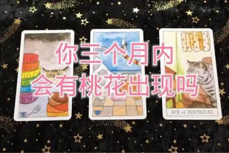 塔罗测试：9月你的桃花会不会来？