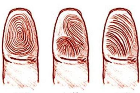 手指斗算命 手上有几个斗适合当老板
