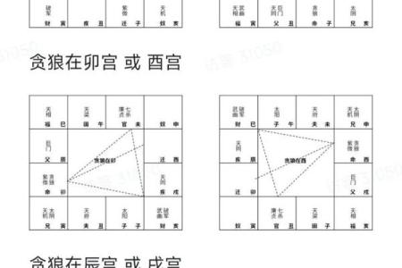 紫薇斗数庙陷表