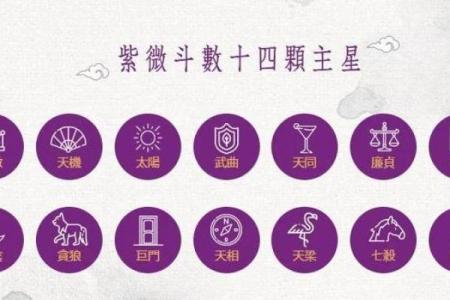 紫薇斗数兄弟代表