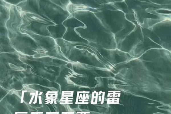 表面斯文骨子里有傲气的星座有哪些