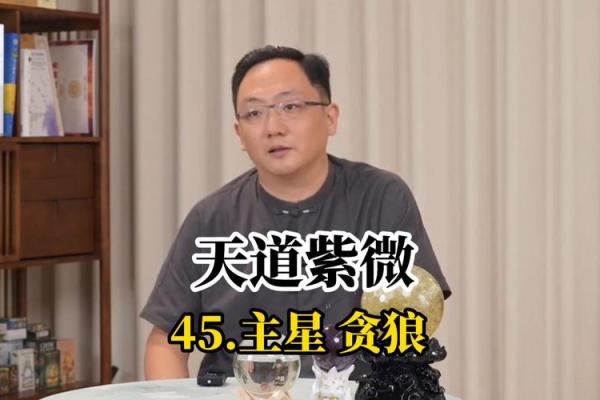紫薇星贪狼星在福德宫