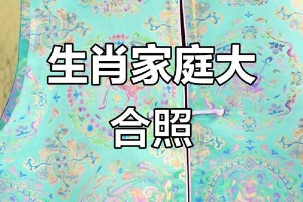 生命灵数配对哪些生肖幸福