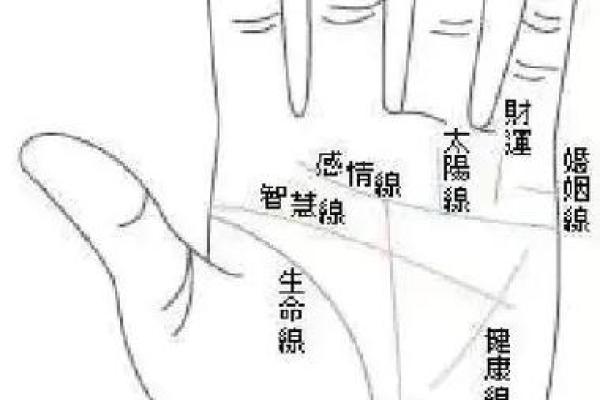 女性左手掌纹手相算命准吗