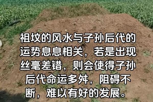 祖坟风水好见效快，如果你不知道可以看看这篇文章！