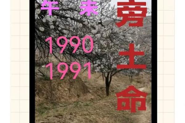 八字土命人适合干啥
