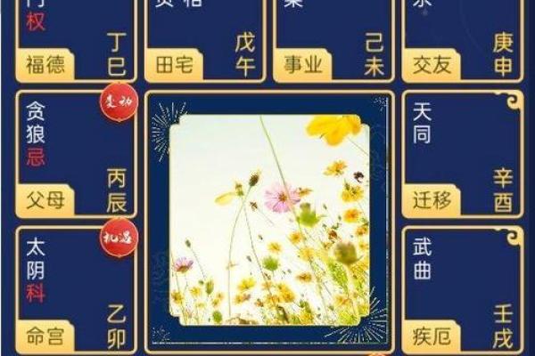 适合学紫薇斗数