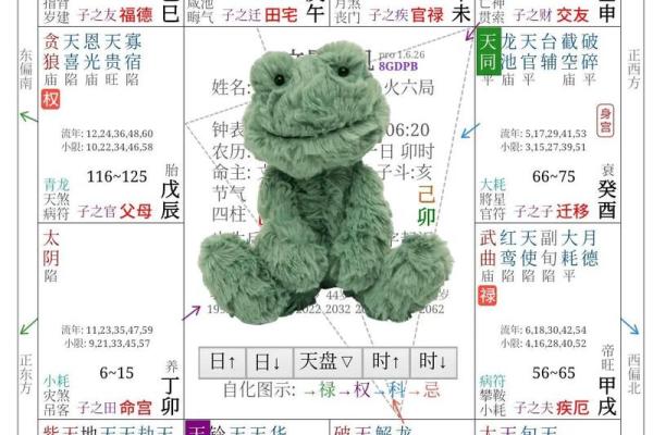 适合学紫薇斗数