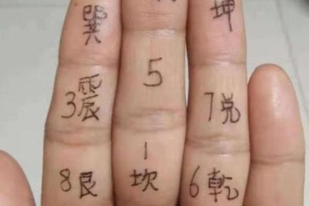 指纹算命,十个斗手指纹算命图解