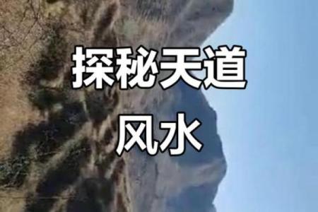 风水故事资讯；偷窃他人好风水