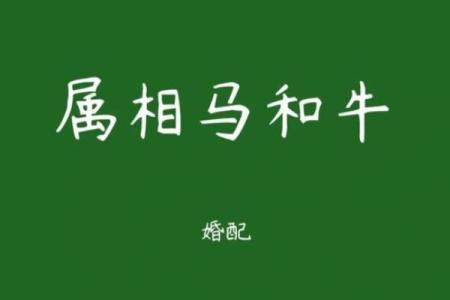 牛属与哪些生肖最佳配对
