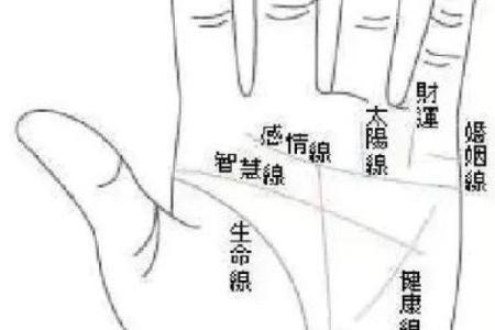 女性左手掌纹手相算命准吗