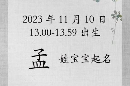 好听的孟姓女孩起名姓名