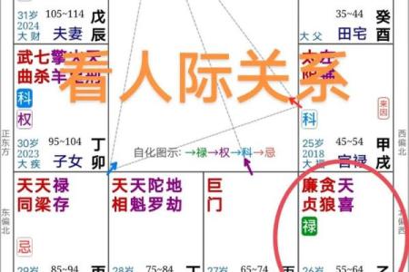 看紫薇斗数的app