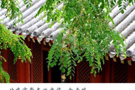 白云观灵签第三十一签