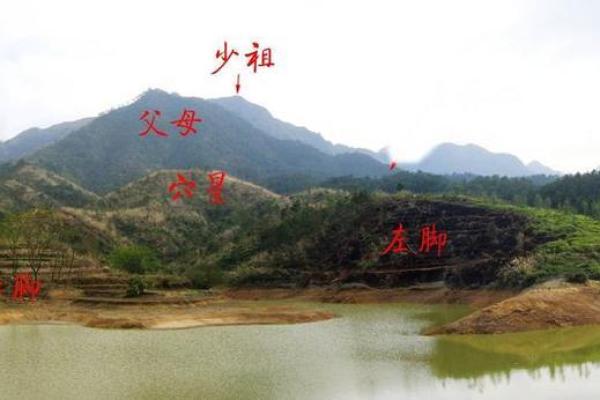 好风水墓地的前兆必蒙阴子孙