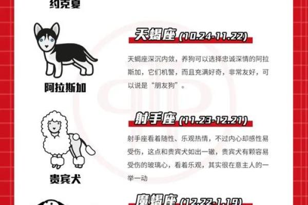什么星座最适合泰迪狗