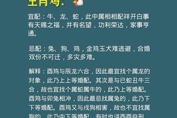 12生肖婚姻配对宜忌