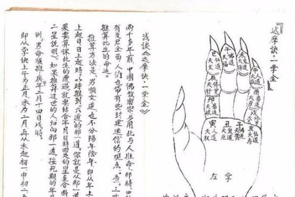 金口诀断风水怎样起课