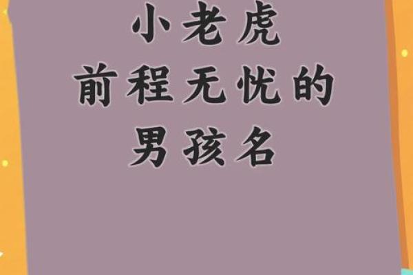 下午出生的属虎男孩应该起什么名，宜用什么字姓名