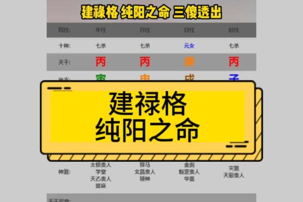 纯阳女命要注意什么 纯阳之女不算命
