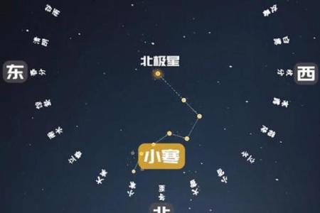 北斗七星是什么星座