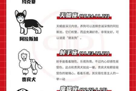 什么星座最适合泰迪狗