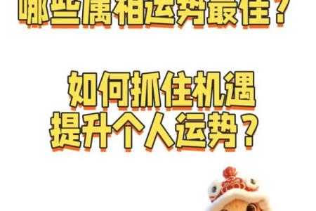 九紫离火运对什么命的人好八字缺火