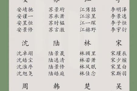 晚上11点出生的属蛇男孩如何起名，宜用哪些字姓名