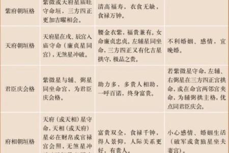 中州紫薇斗数实例