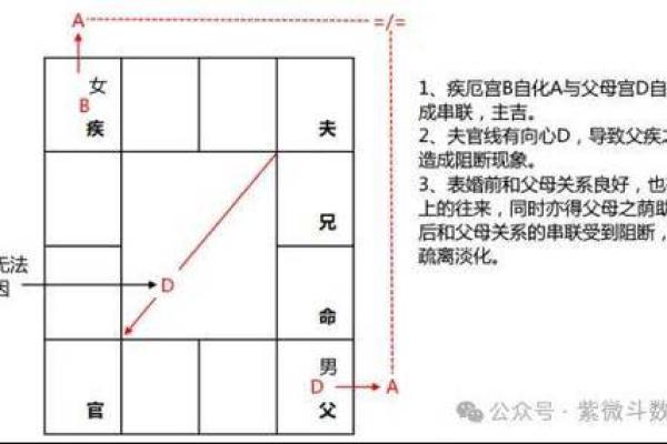 紫微斗数术语解释之：四化星