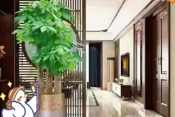 家居风水一进门看见什么好-