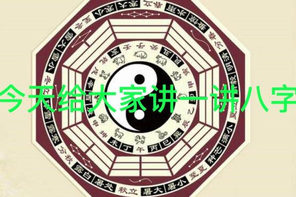 八字基础视频