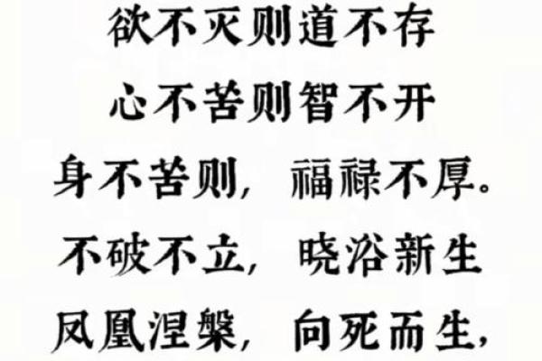 圣人的八字